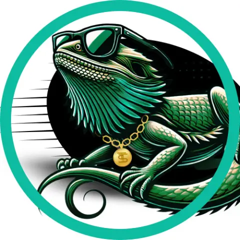 Search Engine Optimization company